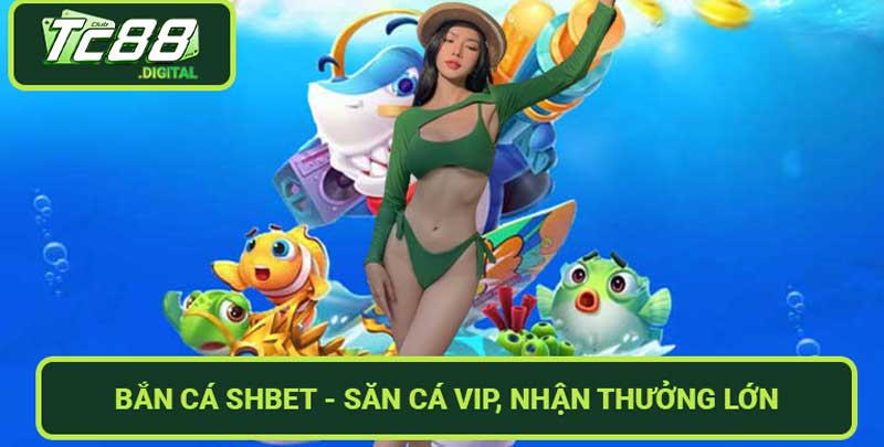 Bắn Cá SHBET - Săn Cá Vip, Nhận Thưởng Lớn Hấp Dẫn Nhất