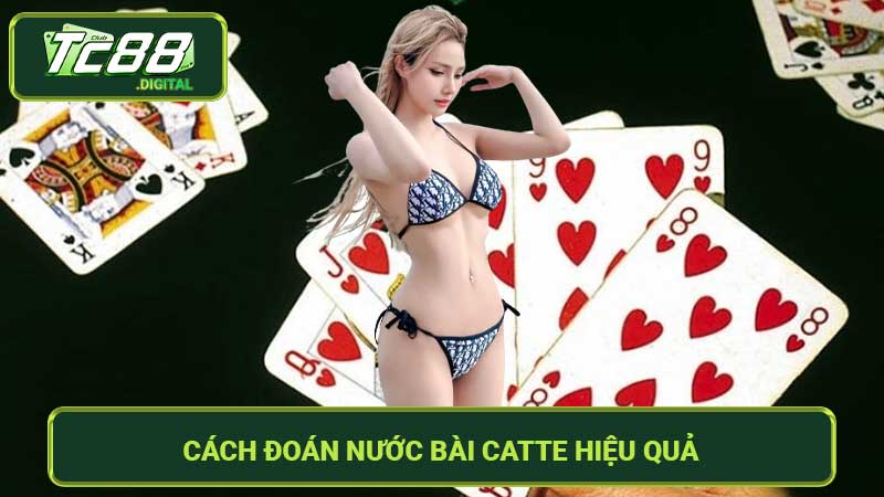 Cách Đoán Nước Bài Catte Hiệu Quả Nhất Chia Sẻ Từ Cao Thủ