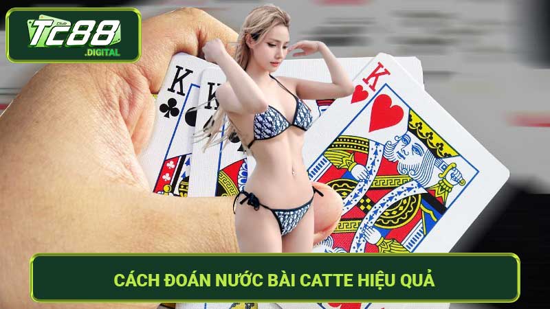 Cách Đoán Nước Bài Catte Hiệu Quả Nhất Chia Sẻ Từ Cao Thủ