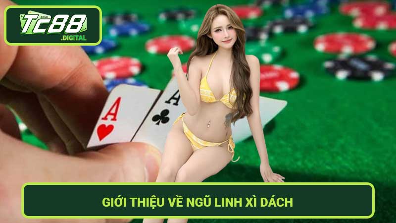 Hướng Dẫn Cách Chơi Ngũ Linh Xì Dách Chi Tiết Từ Cao Thủ