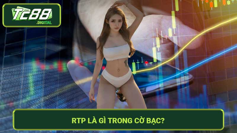 RTP là gì trong cờ bạc - Hướng dẫn chi tiết mới nhất 2024