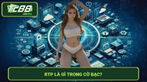 RTP là gì trong cờ bạc - Hướng dẫn chi tiết mới nhất 2024